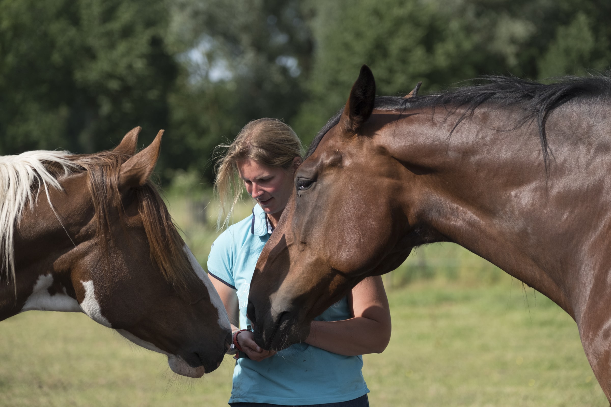 bedankt digitale gids vertrouwen vriendschap paard training - dorienlambrechts.com