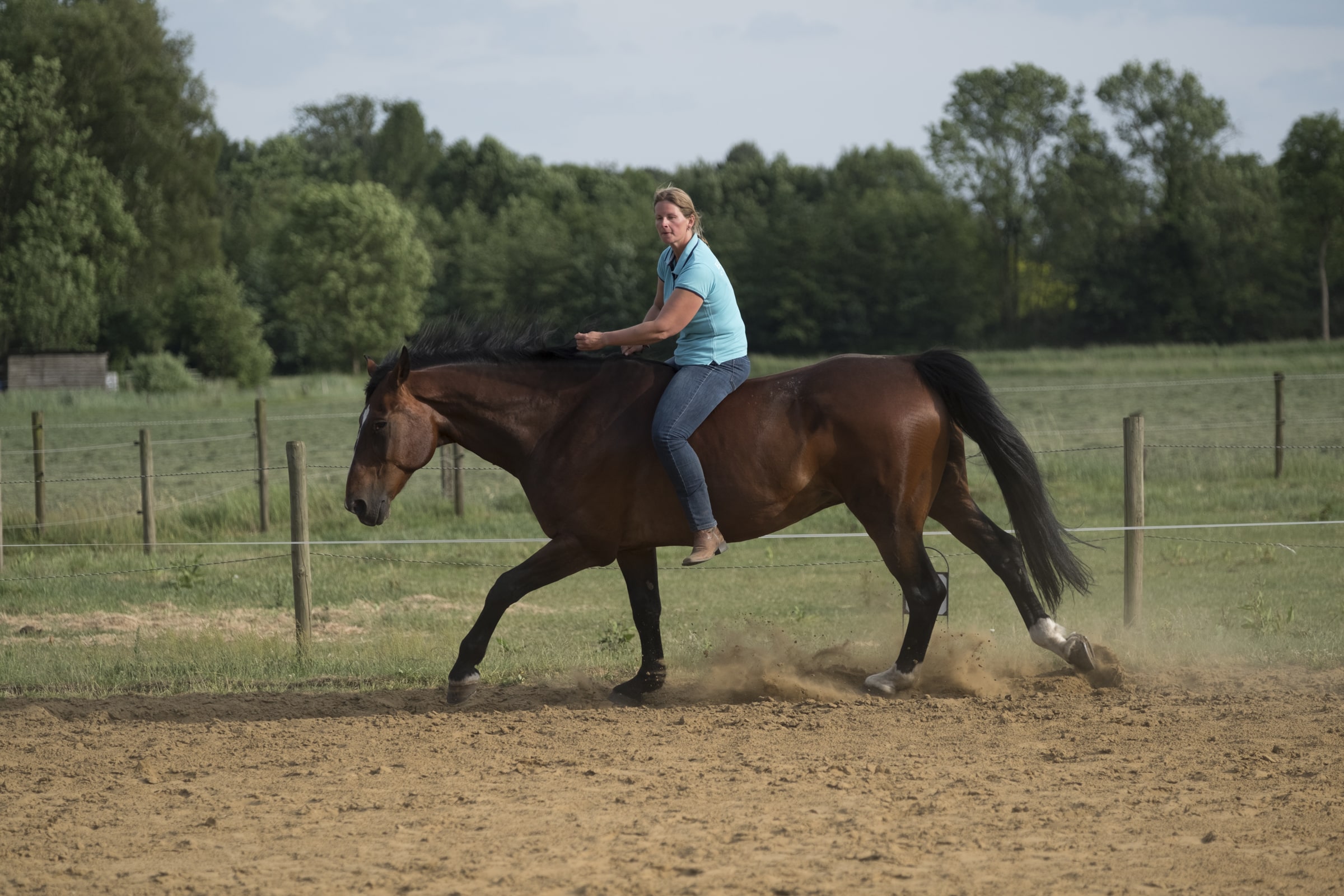 Dorien Lambrechts paarden dreamteam leiderschap respect vertrouwen veiligheid