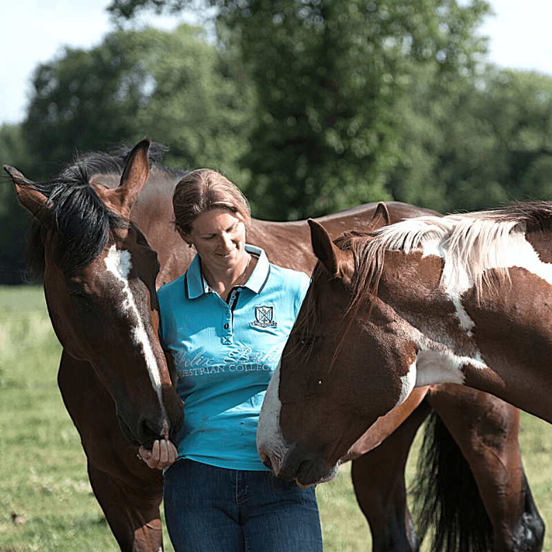 digitale gids geheim goed met paarden - dorienlambrechts.com