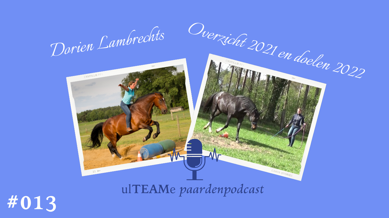 dorien lambrechts - paardenpodcast - paardendoel - jaaroverzicht