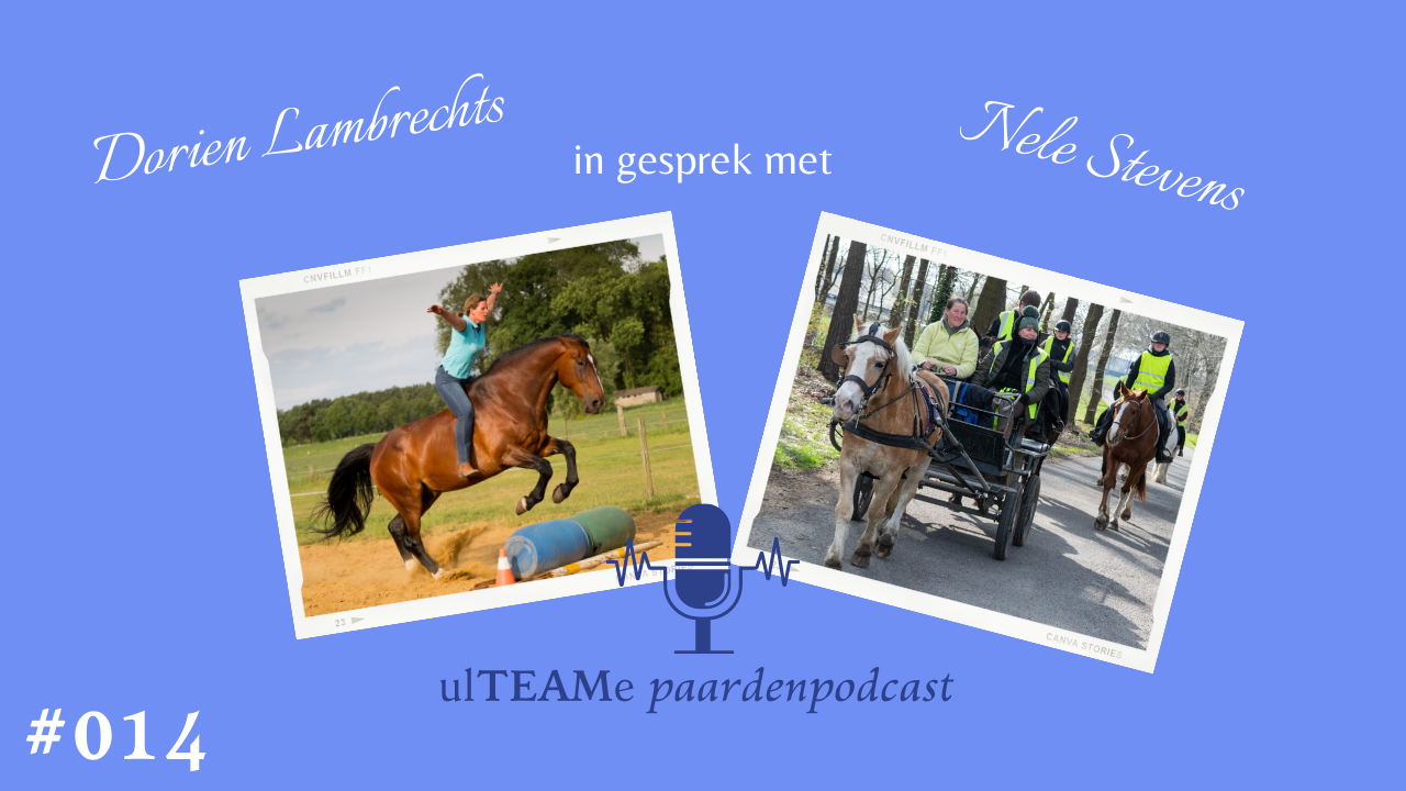 dorien lambrechts - paardenpodcast - nele stevens - domein panhof - horse awareness event