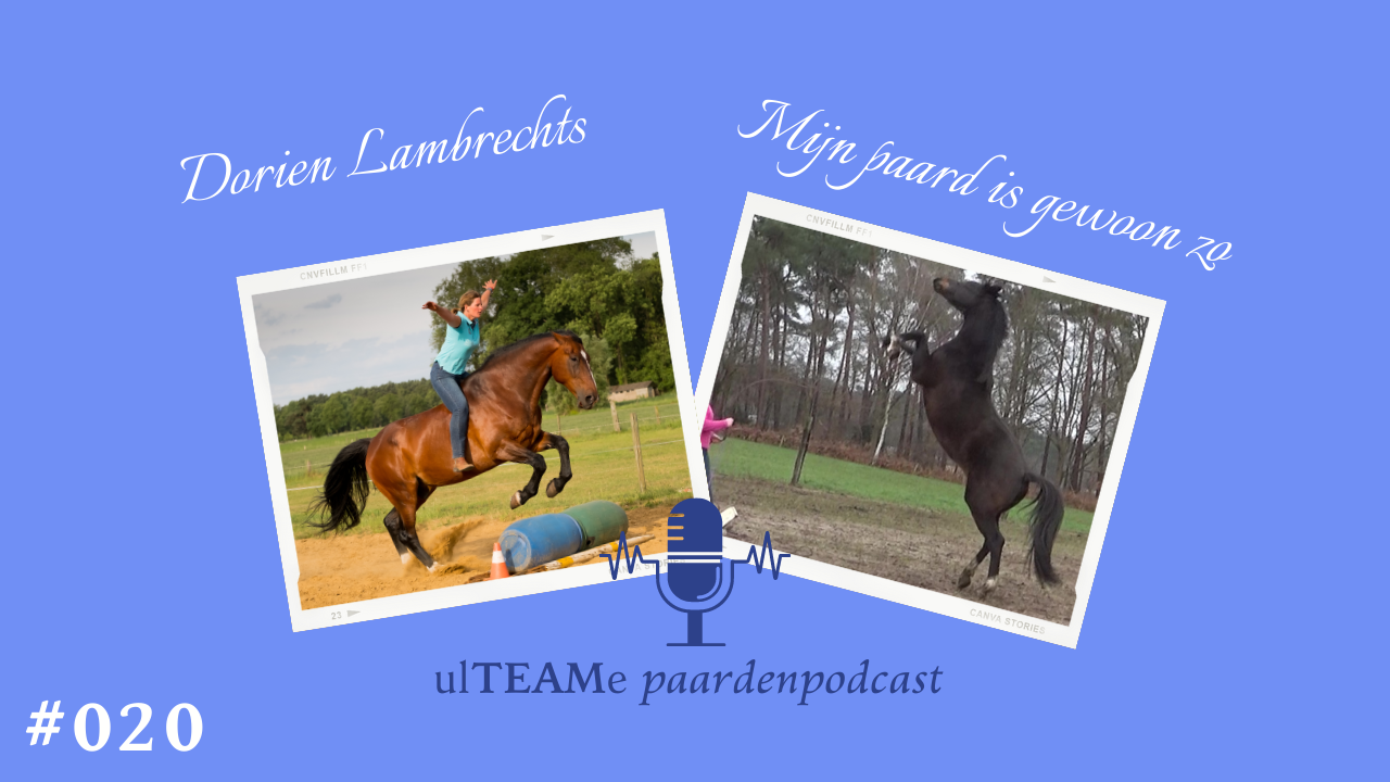 dorien lambrechts - paardenpodcast - paardentraining - coach voor ruiter en paard