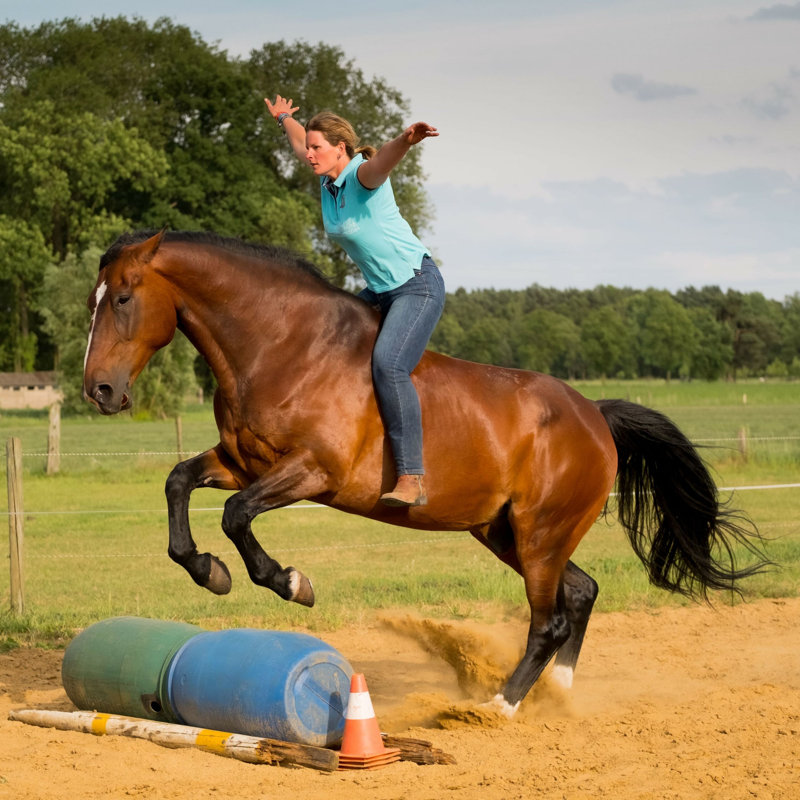 Dorien Lambrechts - team met je paard