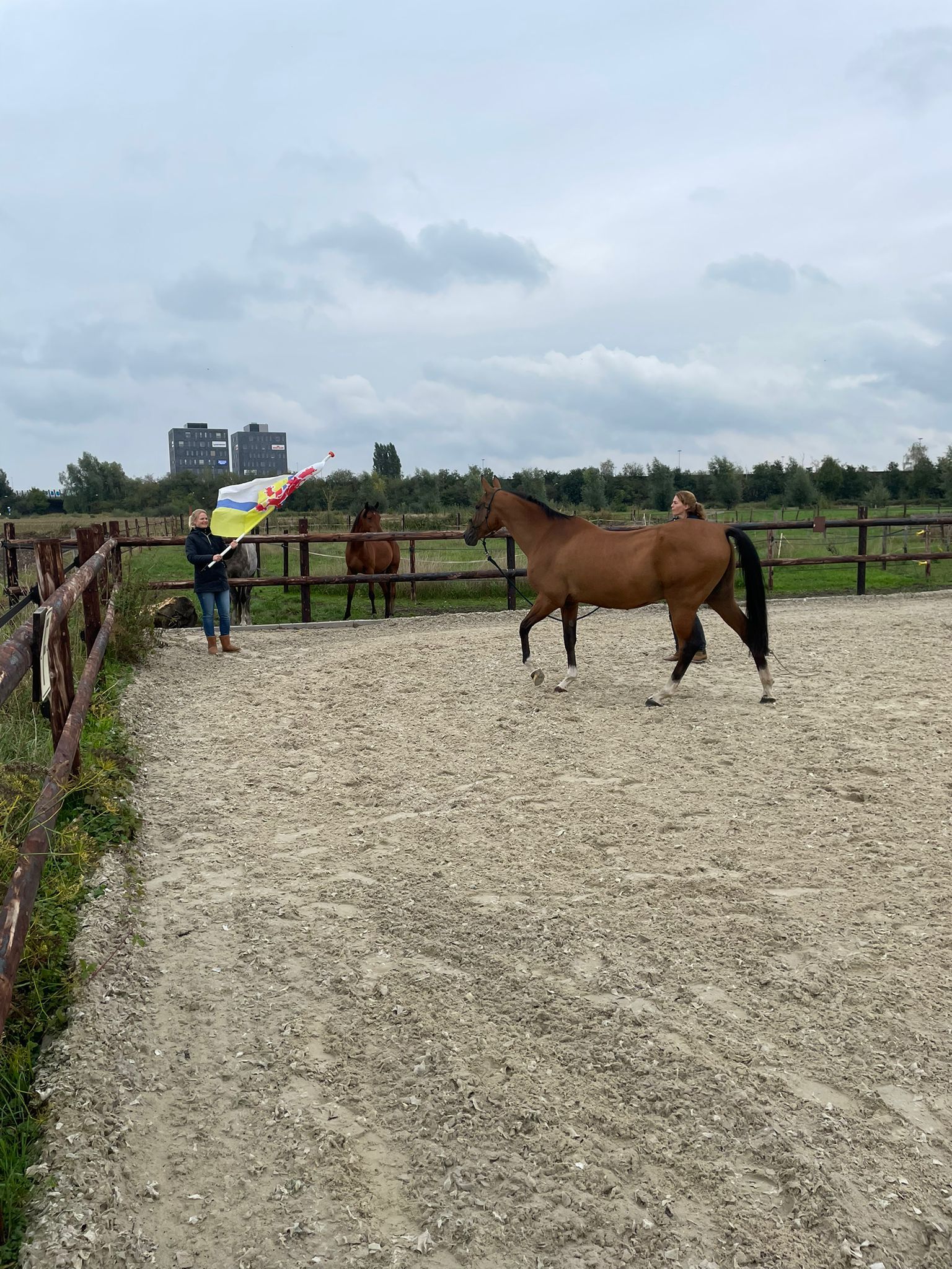 clinic ulTEAMe harmonie en connectie