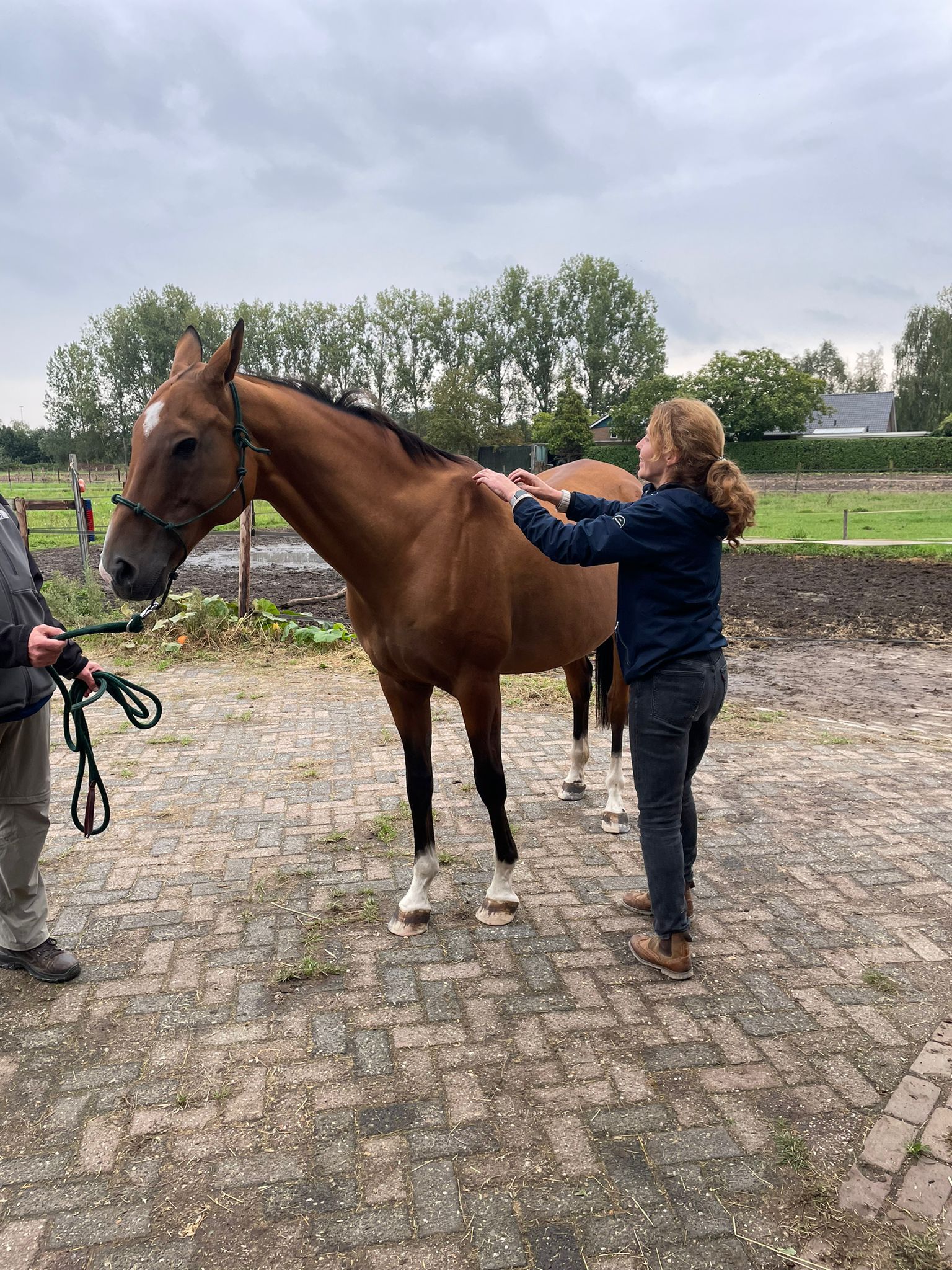 clinic ulTEAMe harmonie en connectie