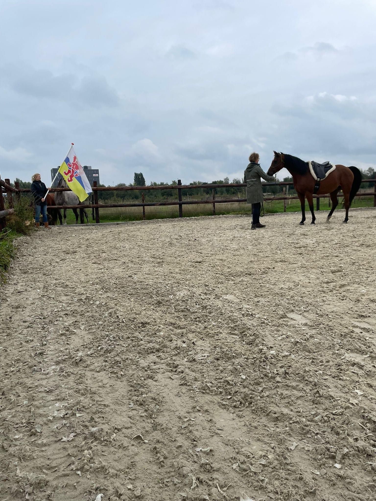 clinic ulTEAMe harmonie en connectie