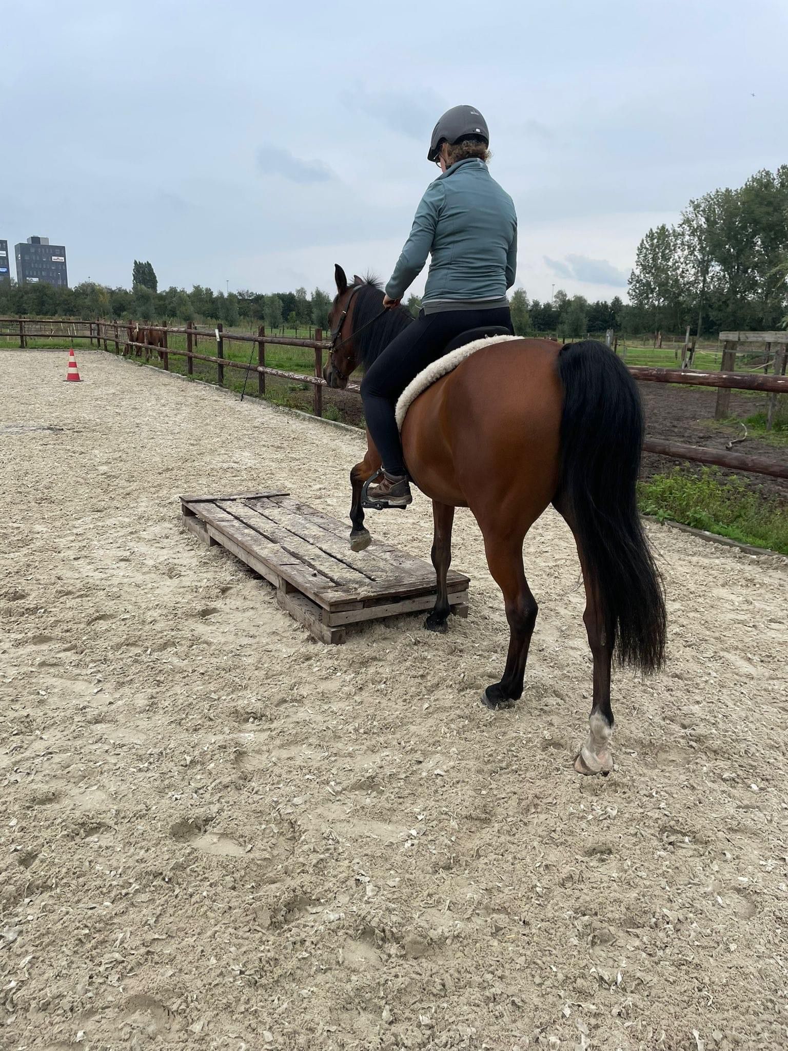 clinic ulTEAMe harmonie en connectie