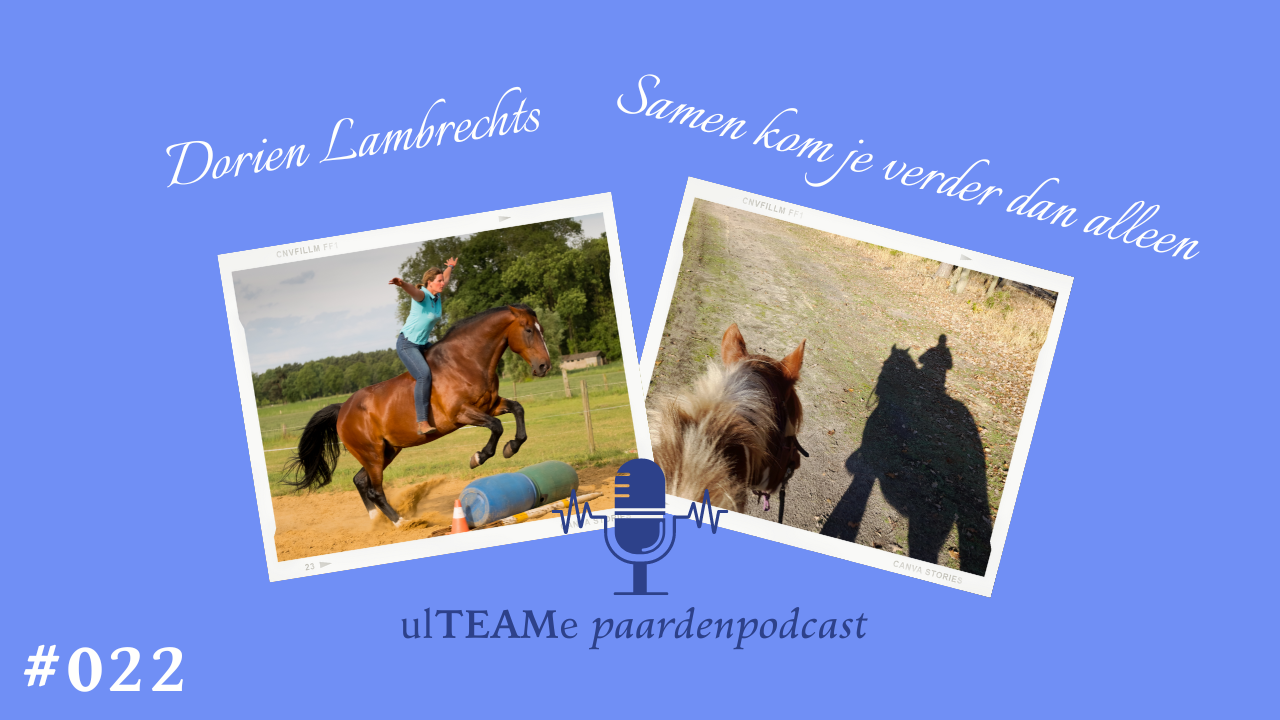 dorien lambrechts - paardenpodcast - community, support, begeleiding, ondersteuning