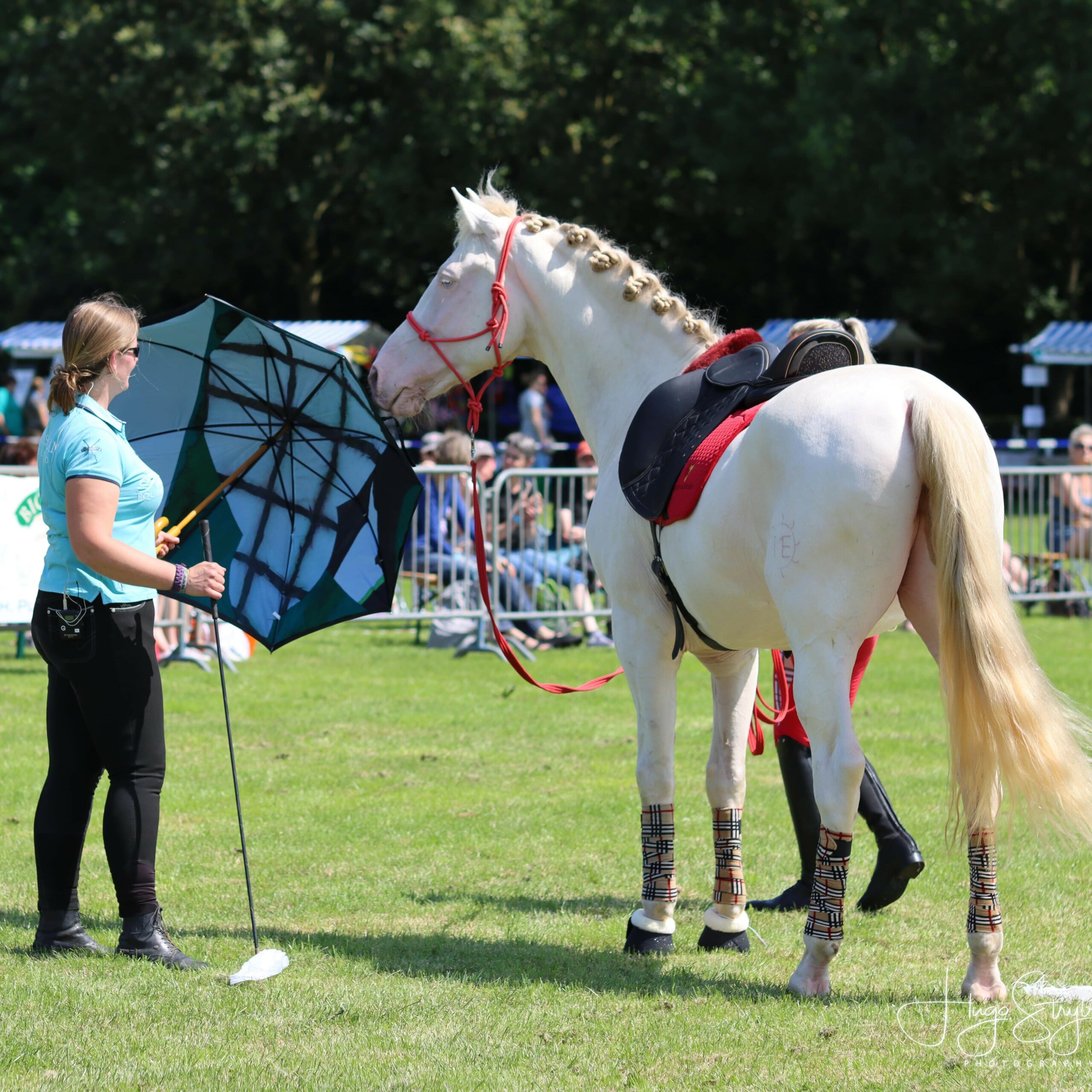 demo EquiDay 2021